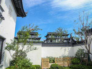 桃李春风