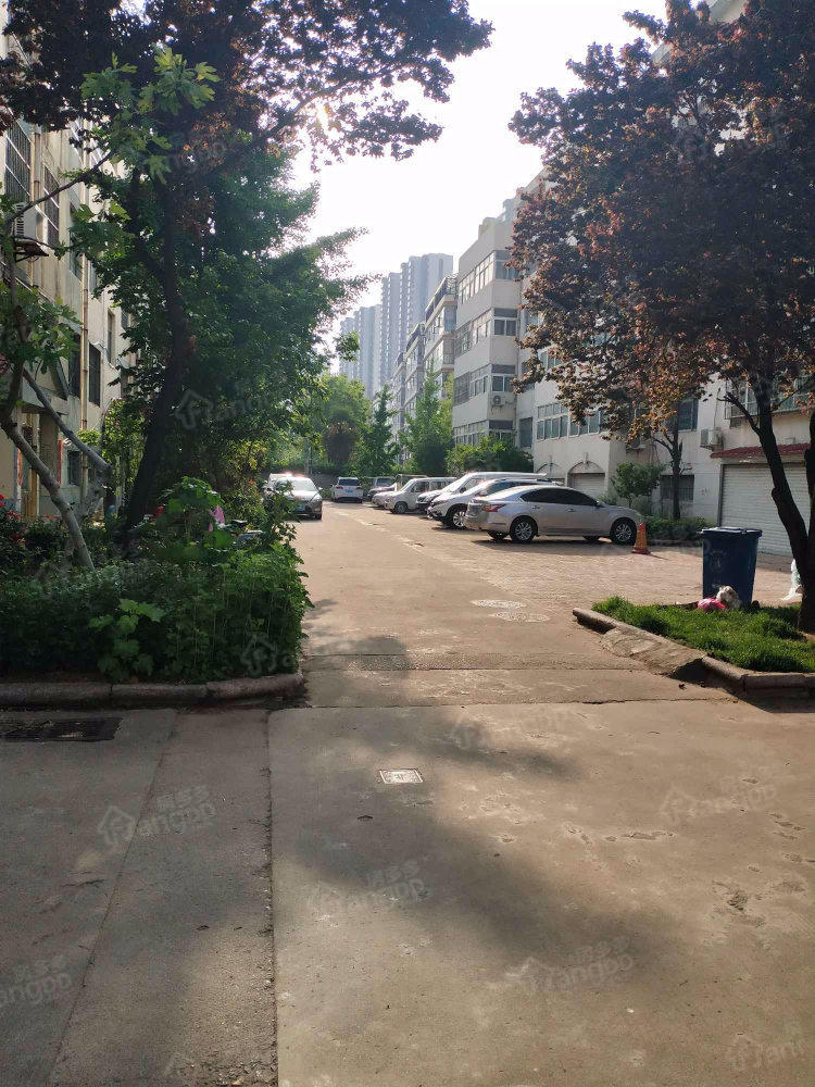 埠东小区(东南区)小区图片