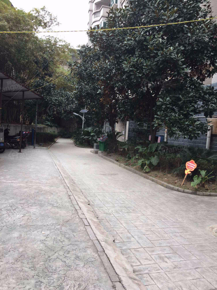 楠竹花园雅竹居小区图片