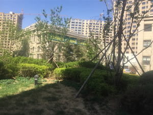 志城中央公园