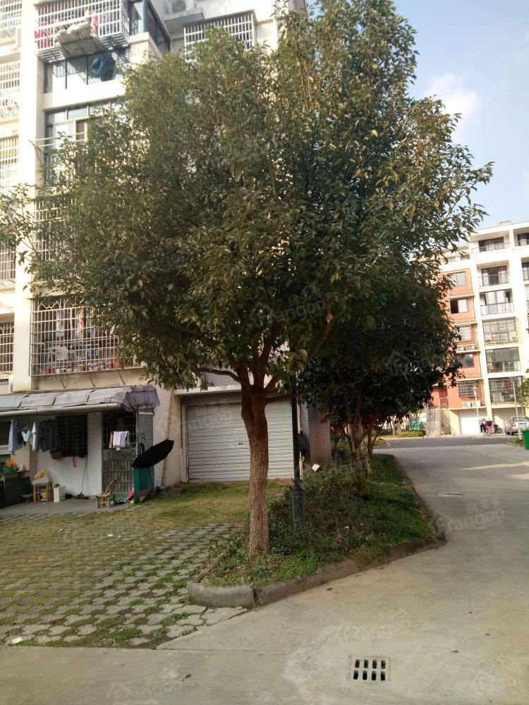 梅树小区小区图片