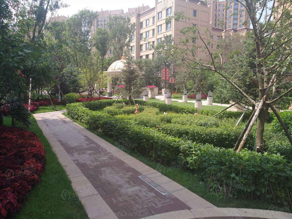 梧桐郡小区图片