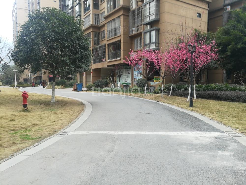 澳海澜庭西区小区图片