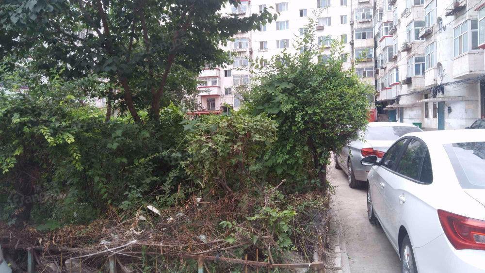 庆云小区小区图片