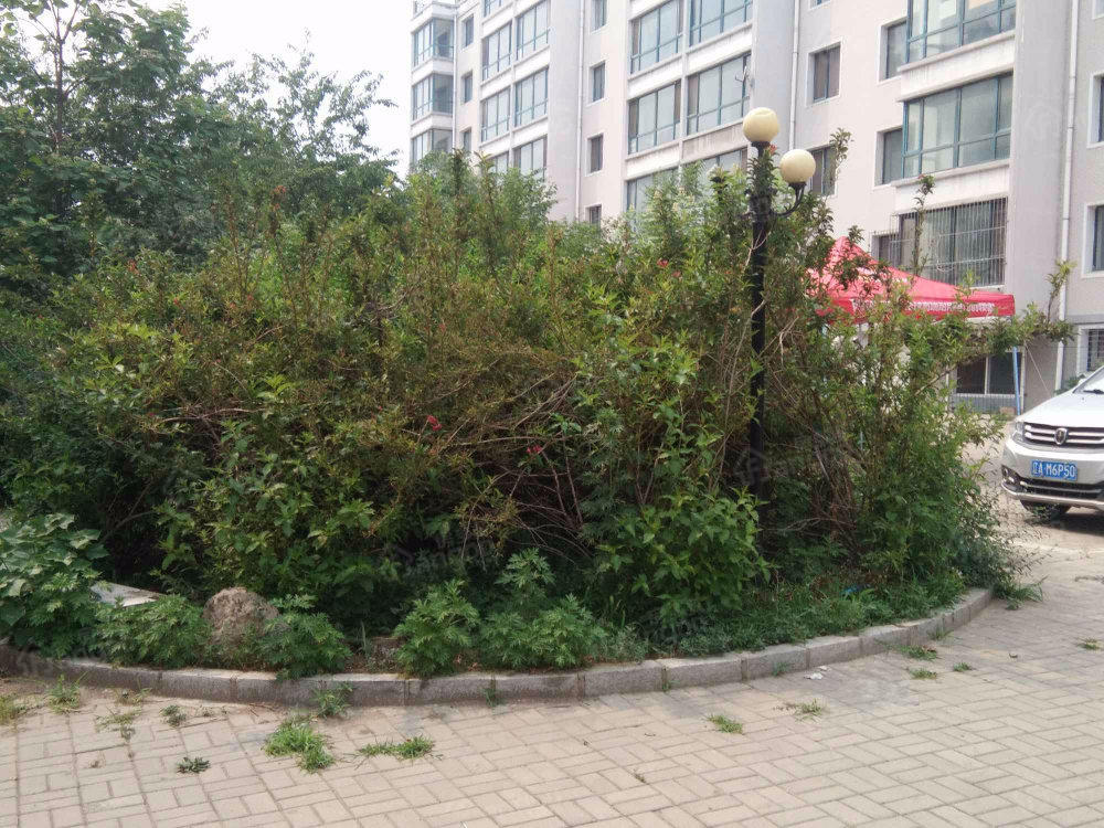 东方华宇小区图片