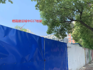 栖霞建设城中G17地块