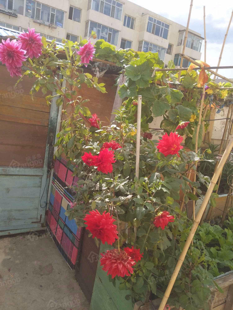 地税局住宅小区小区图片
