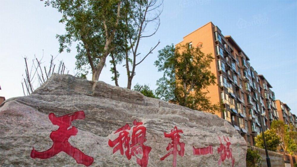 天鹅城小区图片