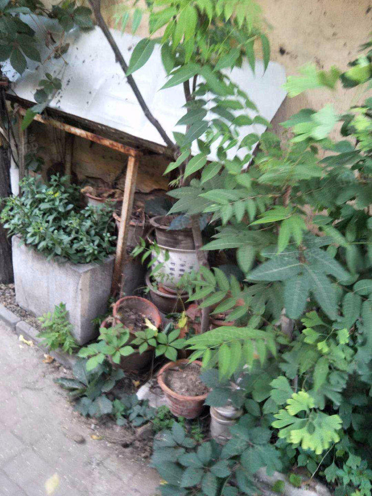邮电职业技术学院宿舍小区图片