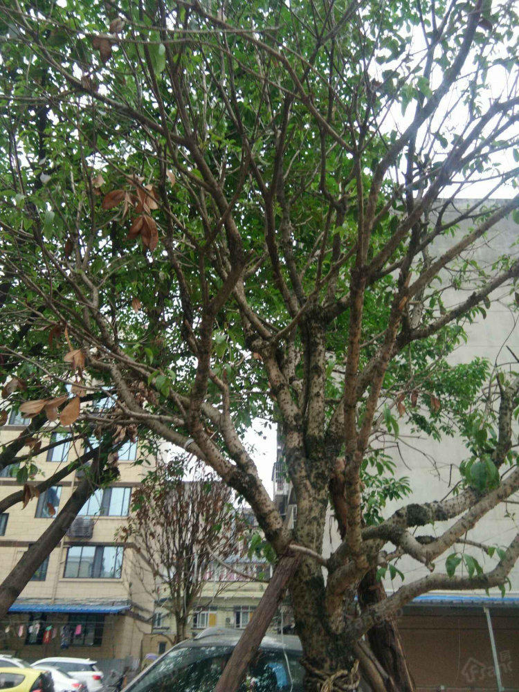 帝景园小区图片