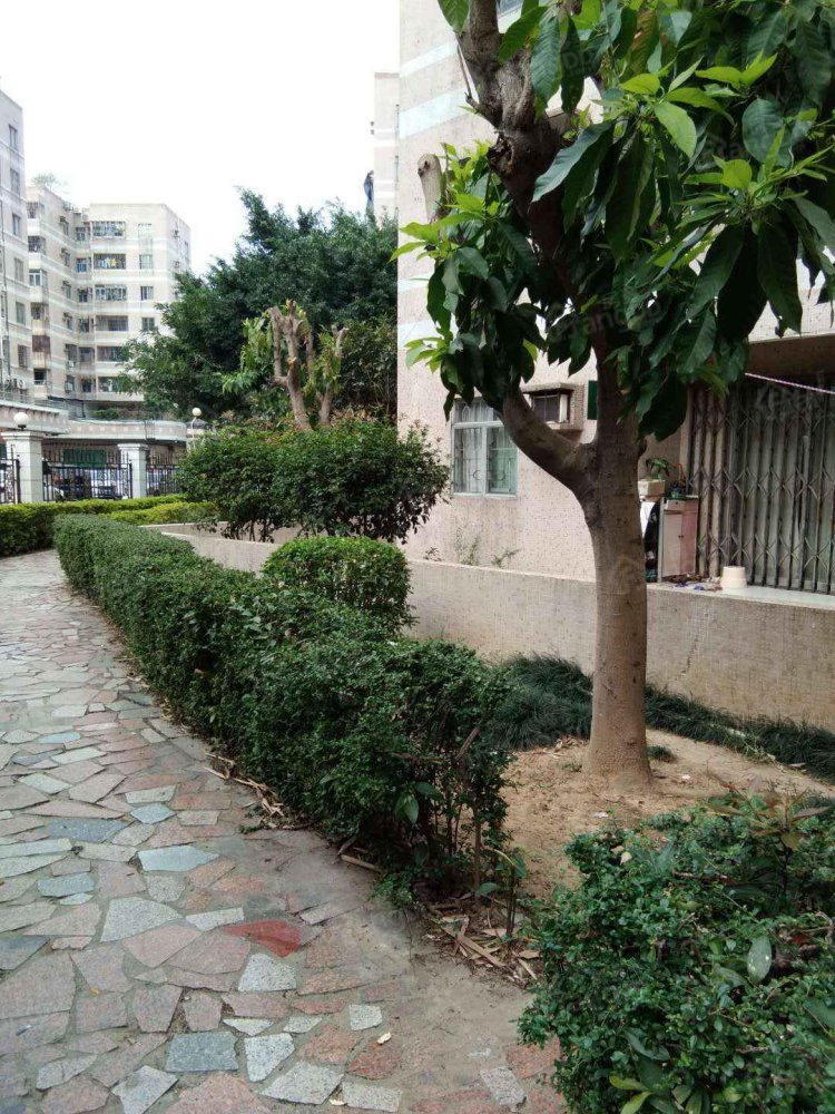 帝都花园四期小区图片