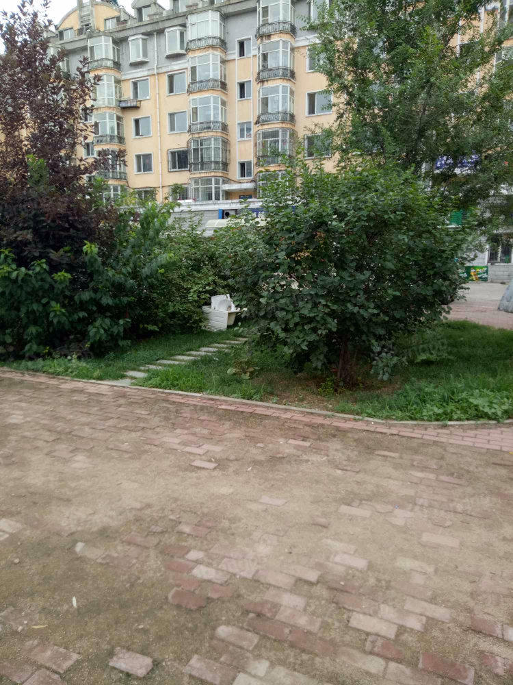 兴建小区(A区)小区图片