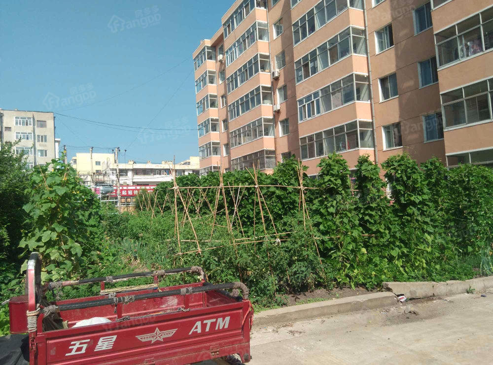 种子公司小区小区图片