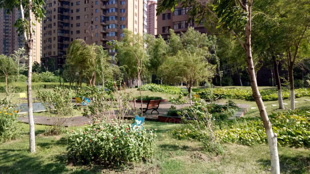大正莅江小区图片