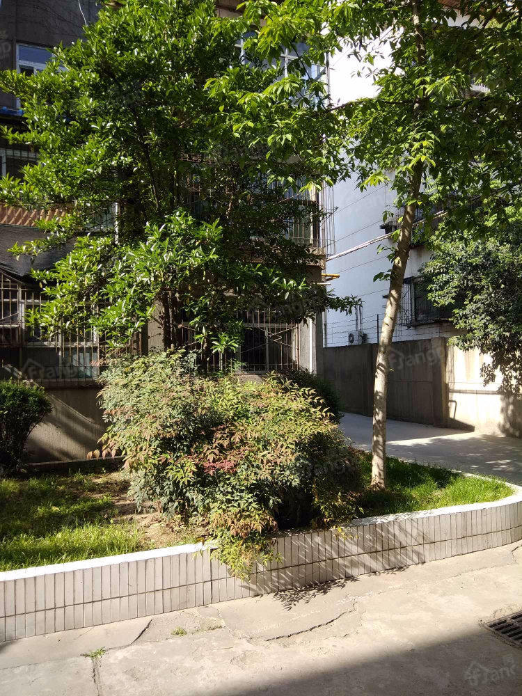 陕西广播电视大学家属院小区图片