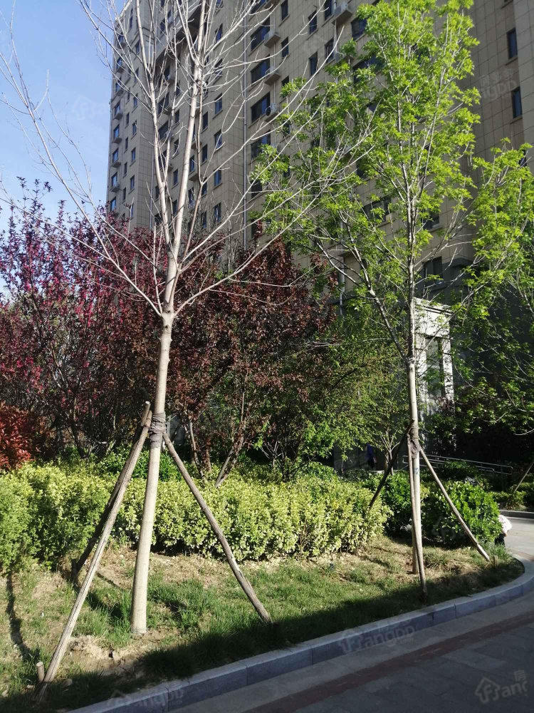 锦绣滨河御府小区图片