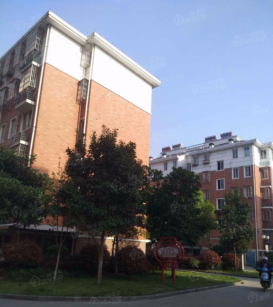 花园东区小区图片