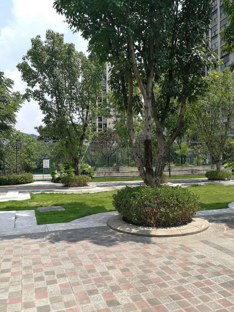 中央公园城一期小区图片