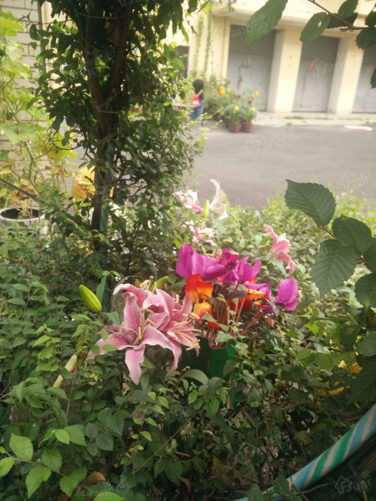市检察院住宅区小区图片