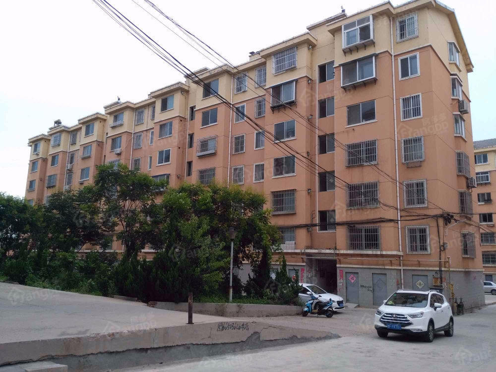 金岭小区小区图片