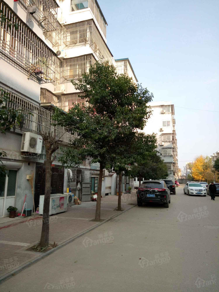 九洲佳园小区图片