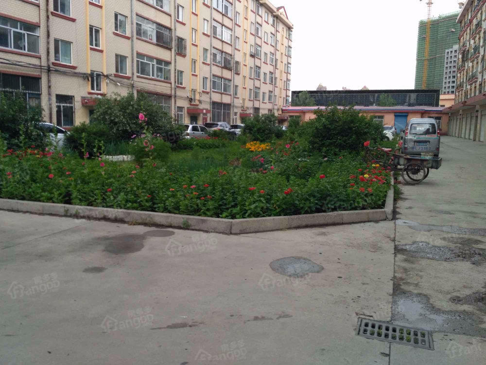 友谊家园(北区)小区图片