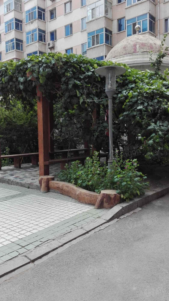 龙悦大厦小区图片