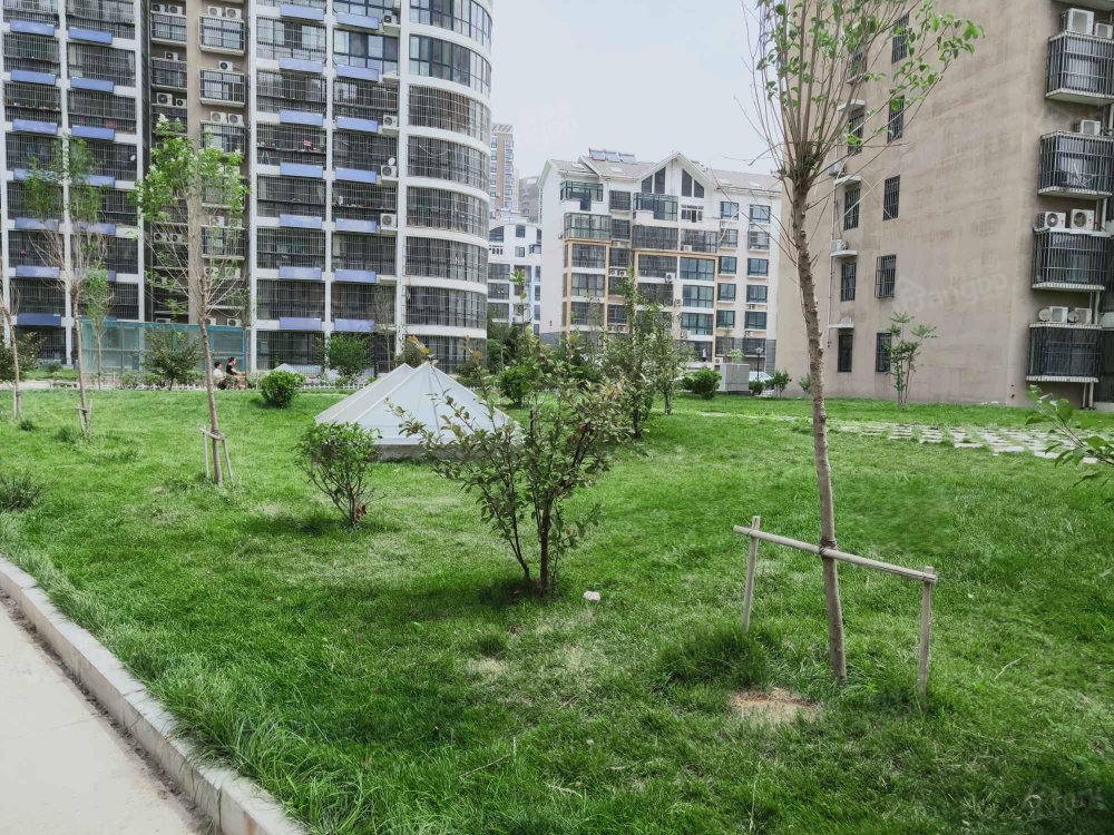 杨柳国际新城L区（济宁）小区图片