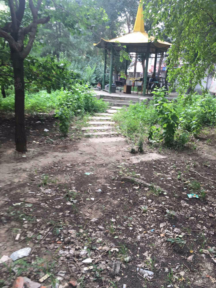 黎明小区小区图片