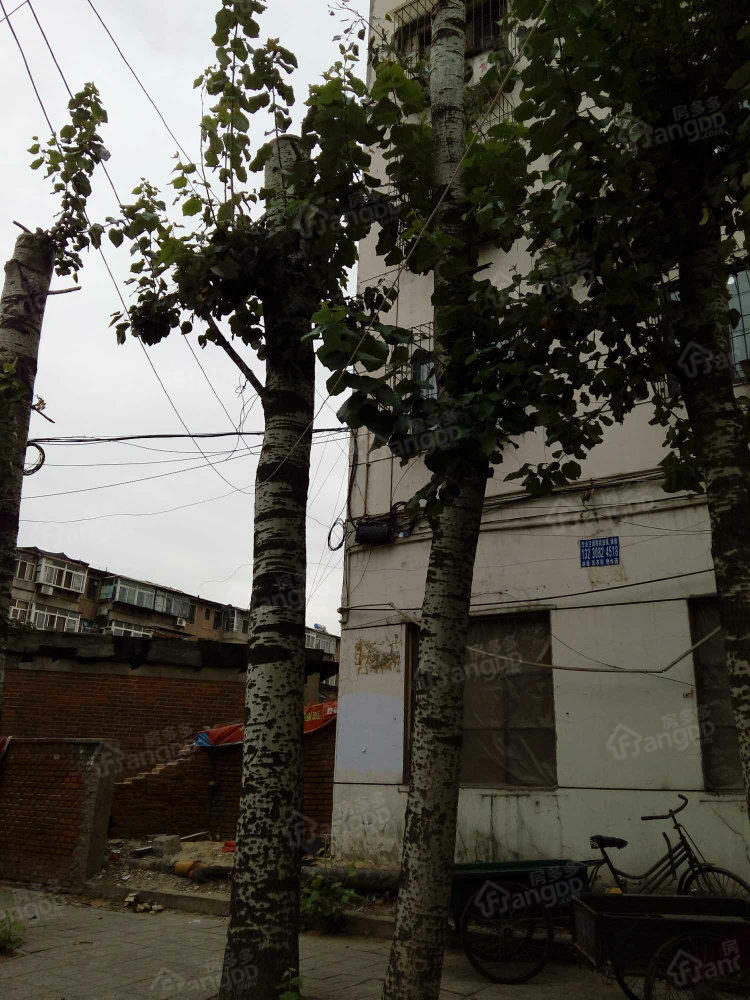 煤医道外贸楼小区图片