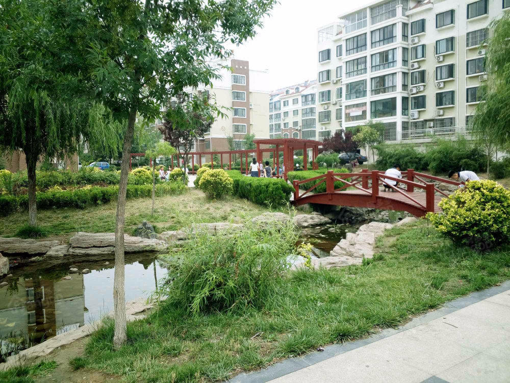 苹果塞威士图片