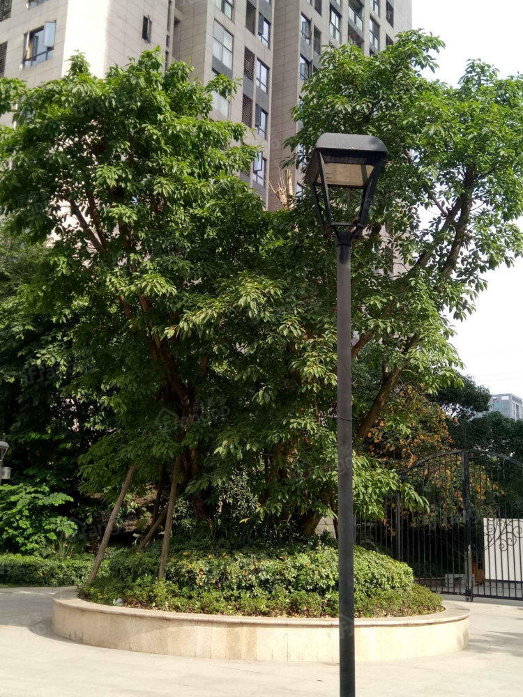 润丰水尚观湖台图片