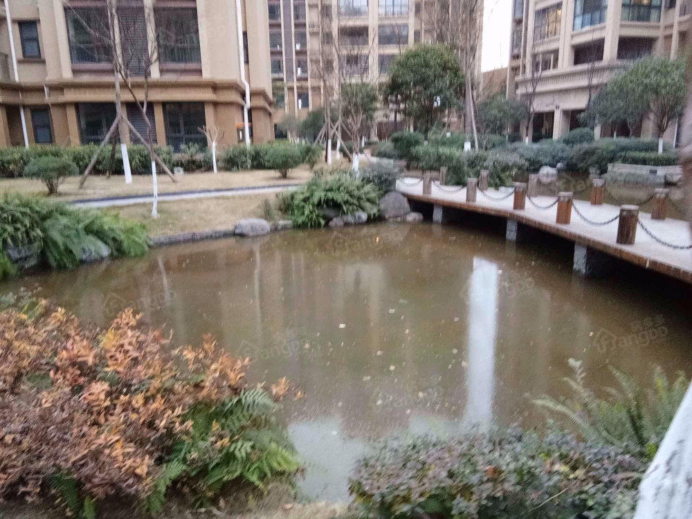 美茵庄园小区图片
