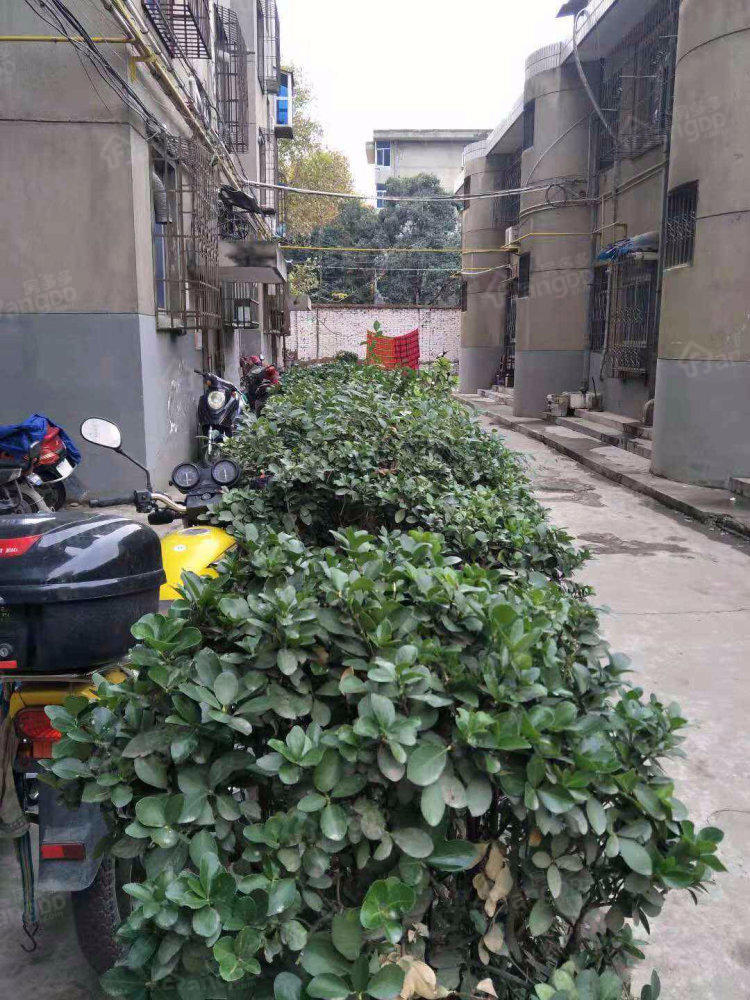 勤俭小区小区图片