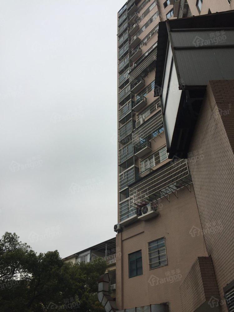 盛世一品图片