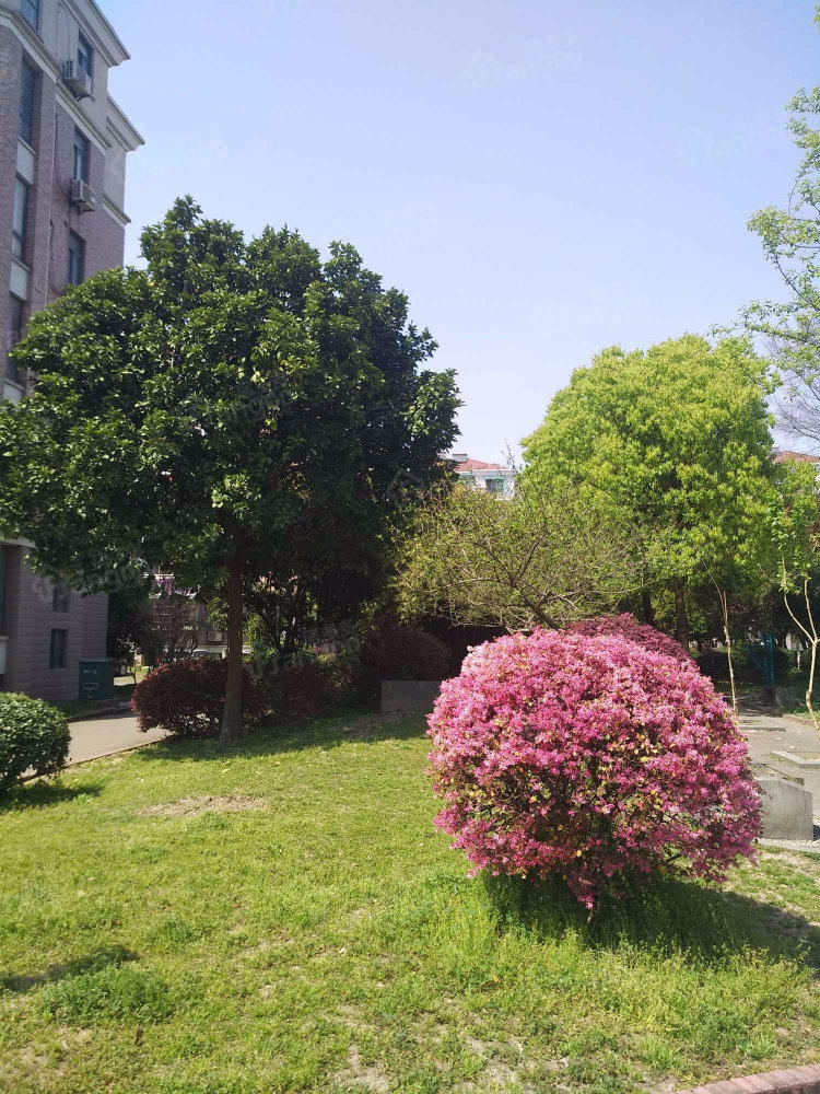 香榭丽都小区图片