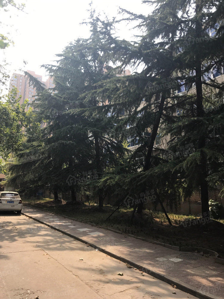 彩虹老生活区图片