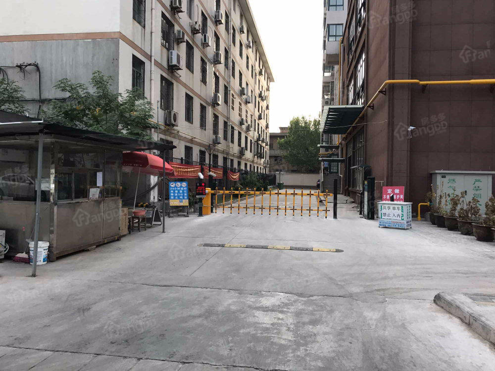 卡农国际图片