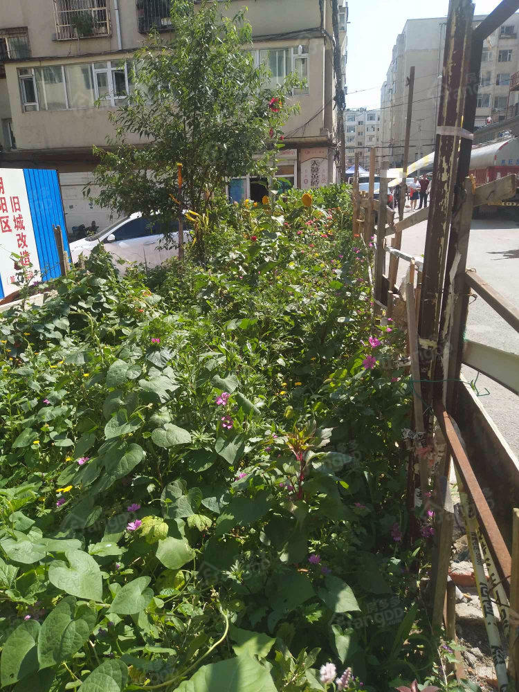 开工社区小区图片