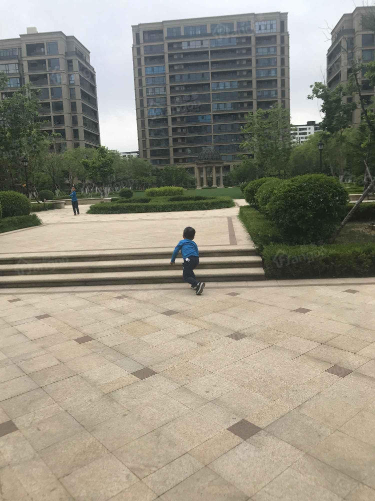 全运村锦兰苑B区小区图片