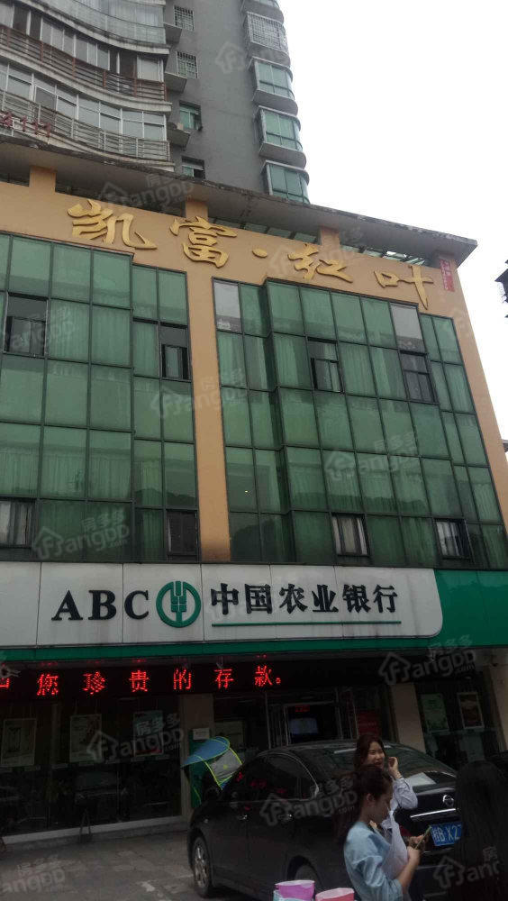 凯富红叶图片