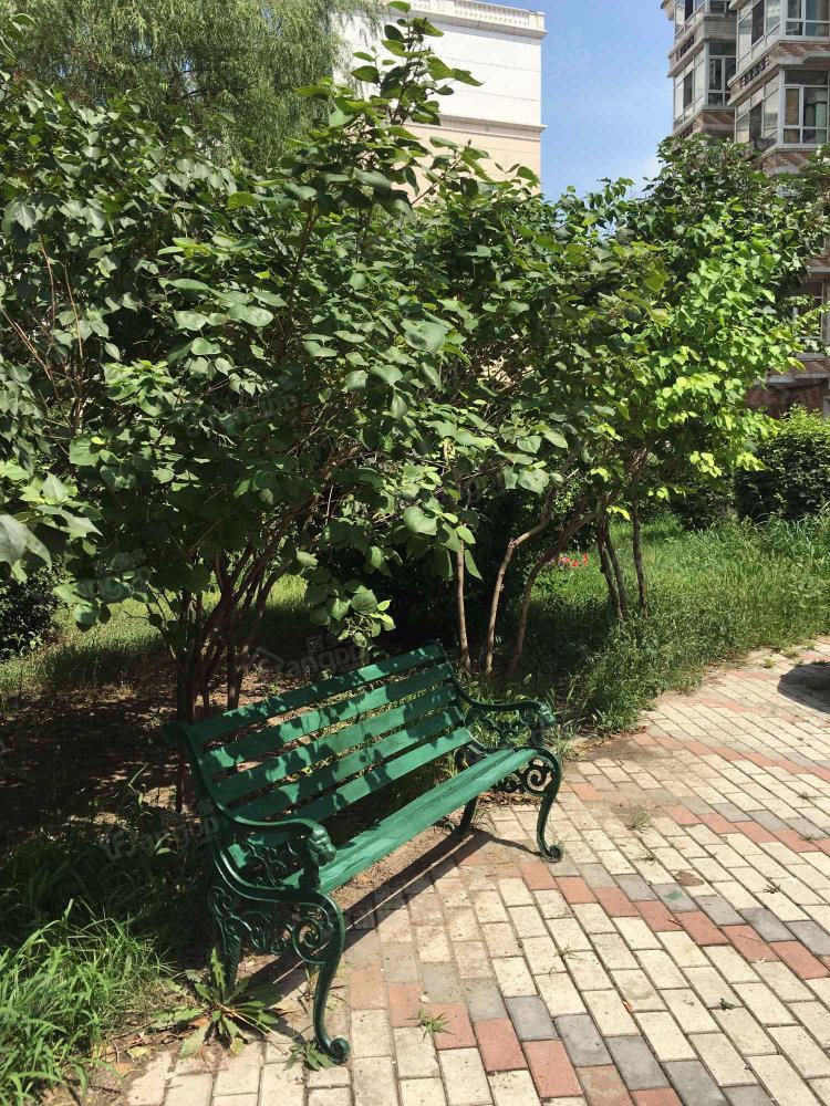 河政花园(B区)小区图片