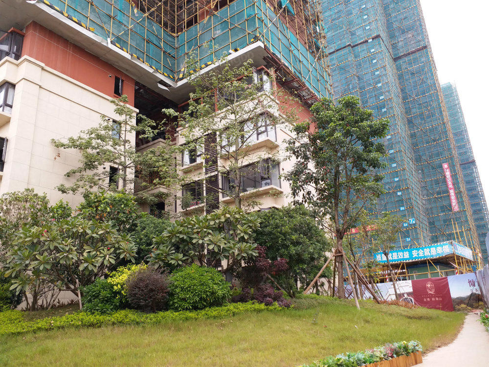 金地前海山小区图片