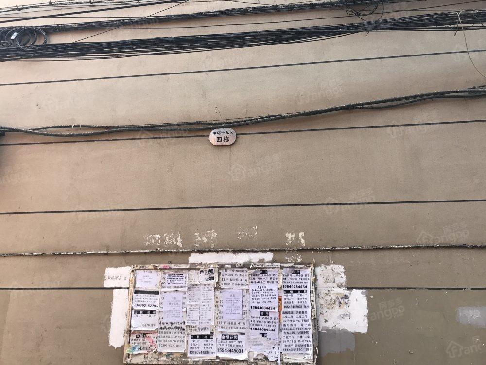 中环19区小区图片