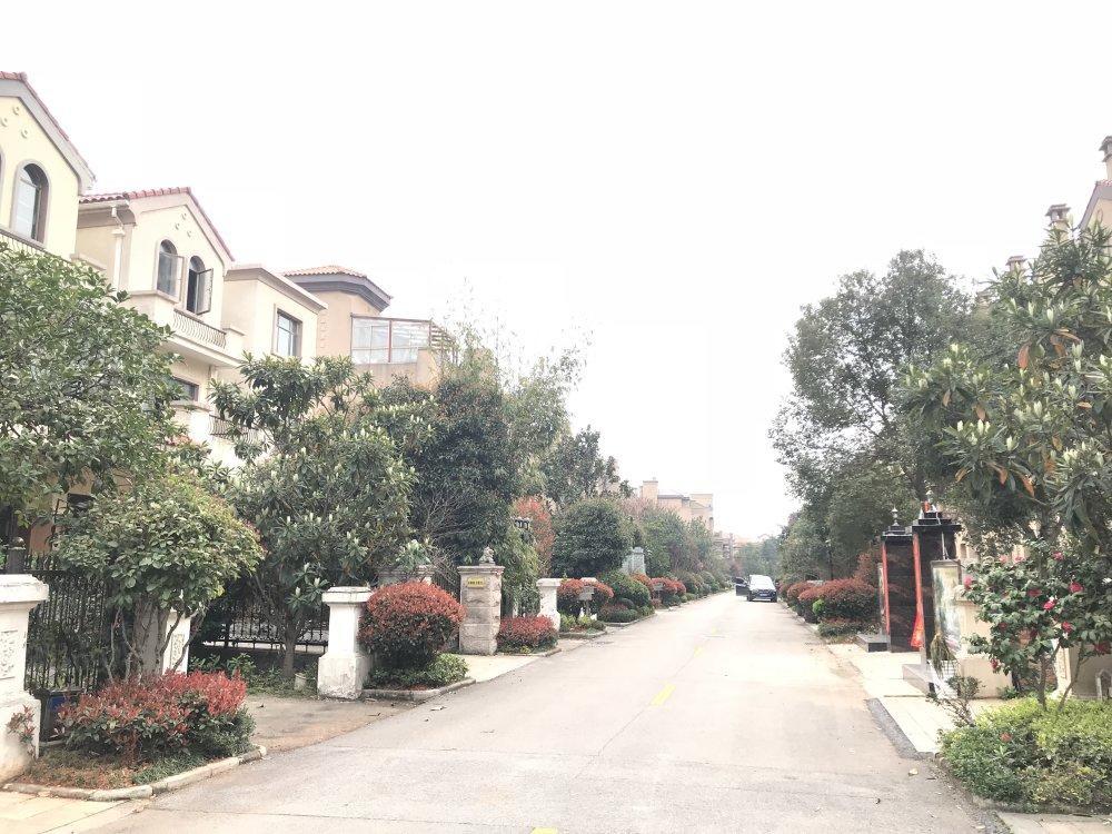 碧桂园山湖城小区图片