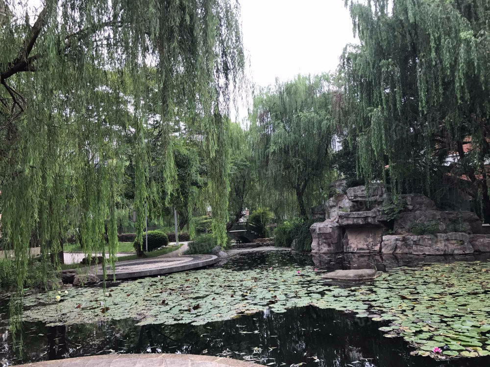 富豪山庄小区图片