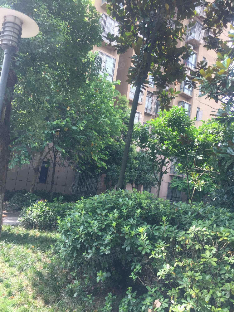 环湖雅居小区图片