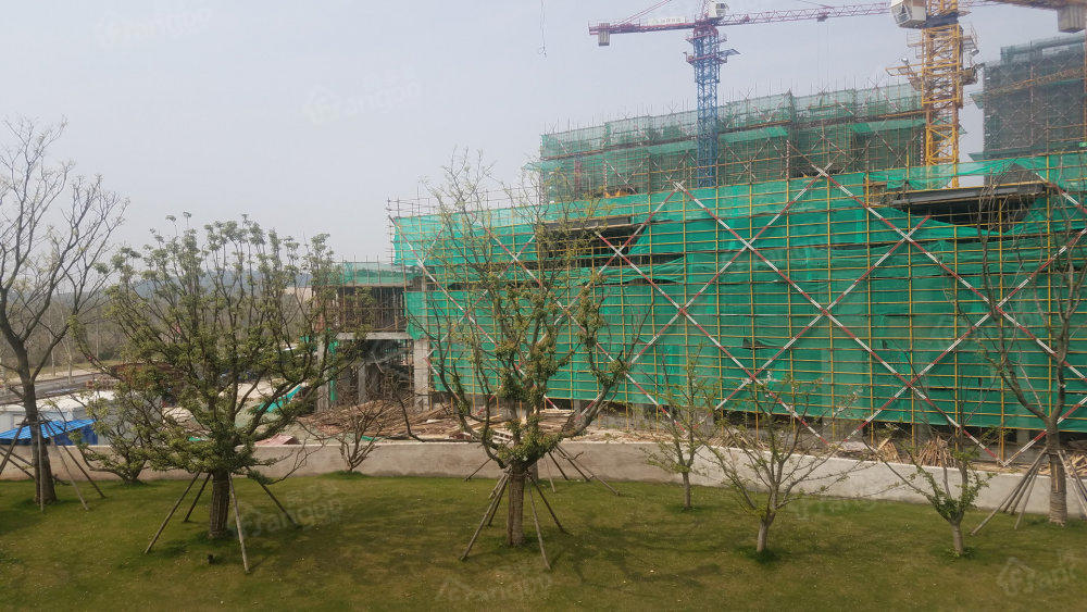 远洋万和四季小区图片