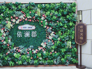 银城·孔雀城·依澜郡