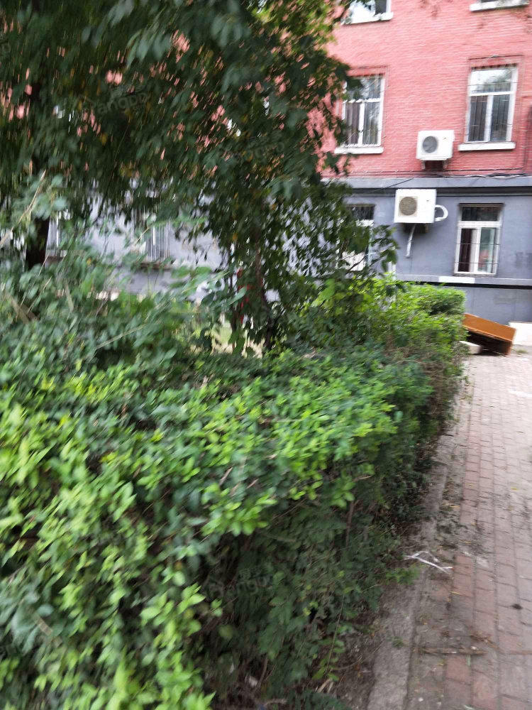 16街区小区图片